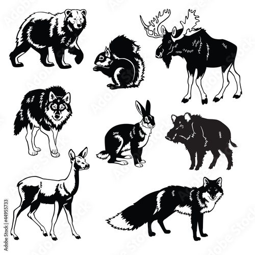 Vector: set of forest animals black and white set of forest animals black and white