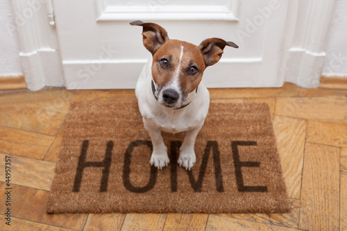 Photo: dog welcome home entrance dog welcome home entrance