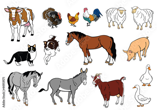 Vector: set of farm animals isolated on white set of farm animals isolated on white