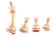 Wood pawns protecting their leader