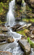 River of Life