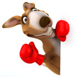 Fun kangaroo