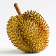 Durian fruit from Thailand.