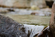 Acque sorgive di montagna