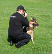   security guard