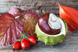 Herbst  - Dekoration