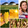 Bioenergie ist super !