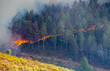 Foto: Fire in the forest Fire in the forest