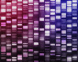 Pink and purple DNA strands