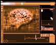 Orange brain interface technology