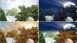 trees and waterfalls at all times with step backward
