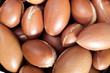 recolte d'argan