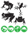 frog