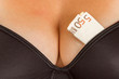 Concept - woman with cash in a bra