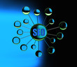 search engine optimization