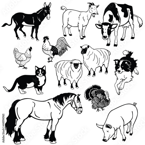 Vector: vector set with farm animals black and white vector set with farm animals black and white
