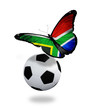 Concept - butterfly with South Africa flag flying near the ball,