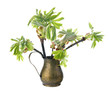 Young branch of horse chestnut tree in copper jug