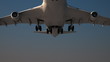 Large Jumbo Jet is landing