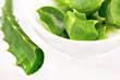 aloe