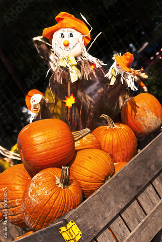 Photo: Autumn / Halloween 6 Autumn / Halloween 6