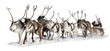 Santa Claus in a sleigh