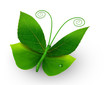 Foto: butterfly made from leafs butterfly made from leafs