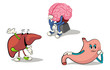 character set internal organs 2