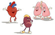 character set internal organs 1