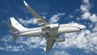 Airplane in the sky