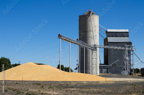 Photo: Grain elevator with pile of grain Grain elevator with pile of grain