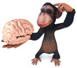 Chimp and brain