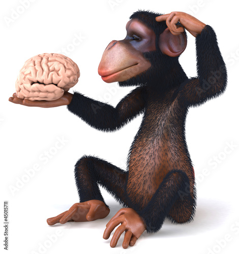 Illustration: Chimp and brain Chimp and brain