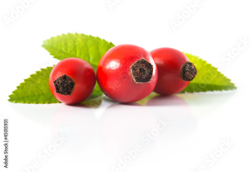 Photo: Three dogrose Three dogrose