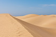 Dünen Maspalomas 20