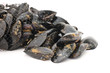 Photo: cozze - fresh mussels cozze - fresh mussels