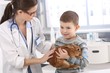 Photo: Vet helping little kid with rabbit Vet helping little kid with rabbit