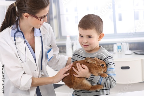 Photo: Vet helping little kid with rabbit Vet helping little kid with rabbit