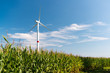 Energiewende Vermaisung und Verspargelung der Landschaft