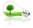 Lightbulb