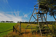 Hochsitz