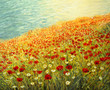 Poppies at the Seashore