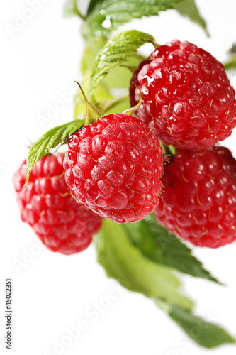 Photo: Himbeeren mit Blätter, Makro auf Hintergrund weiß Himbeeren mit Blätter, Makro auf Hintergrund weiß