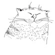 Hand drawn sketch of smiling cat. Vector illustration