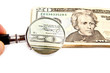 dollars and magnifying glass