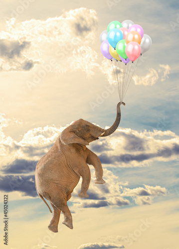 Photo: Elephant Flying With Balloon Elephant Flying With Balloon