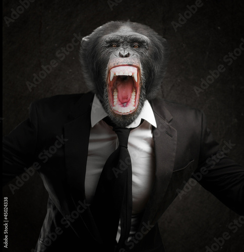 Photo: Frustrated Monkey In Business Suit Frustrated Monkey In Business Suit