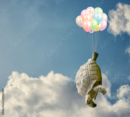 Photo: Tortoise Tied With Balloon Tortoise Tied With Balloon