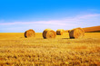 hay bales