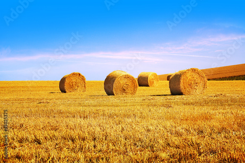 Foto: hay bales hay bales